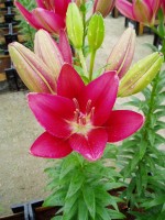 [1710 Douro Mak No01.JPG]